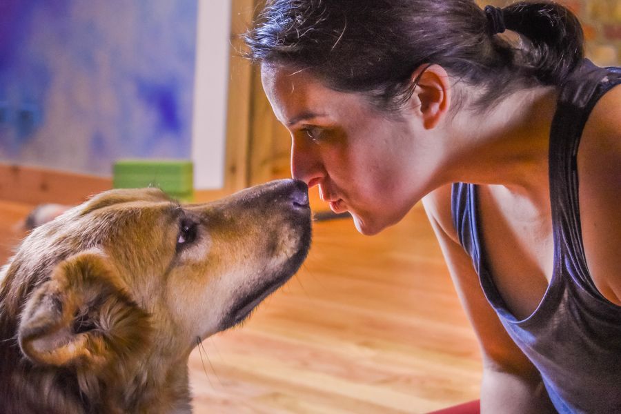 Nose to nose with a dog, between poses in the studio